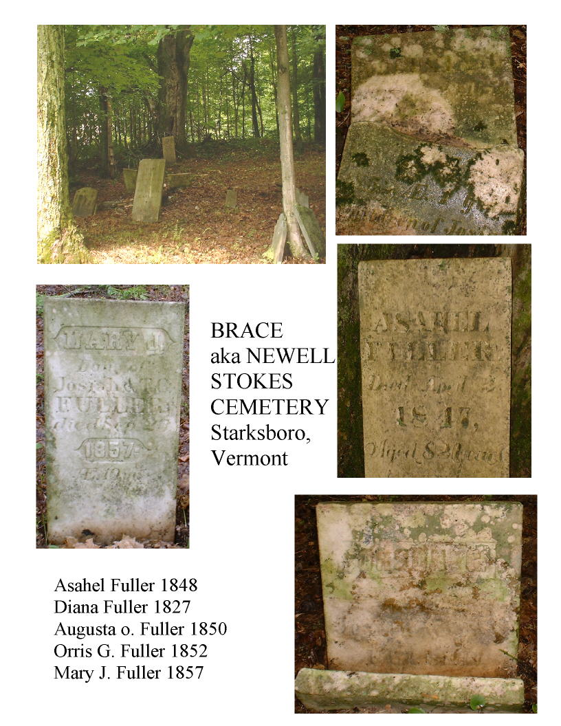 Starksboro Historical Society Cemetery Project - Starksboro, Vermont (VT)